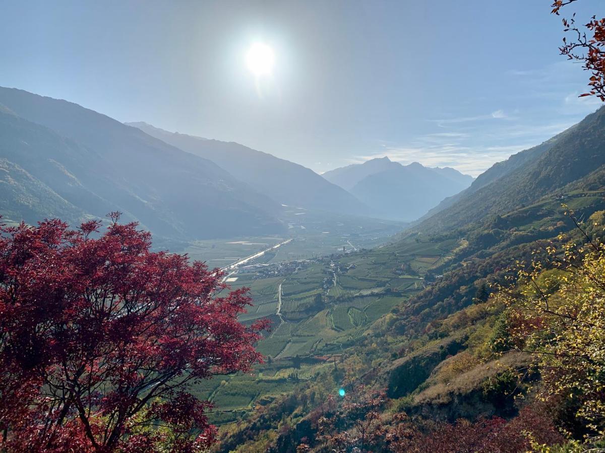 Klostergut Castelbello Dış mekan fotoğraf