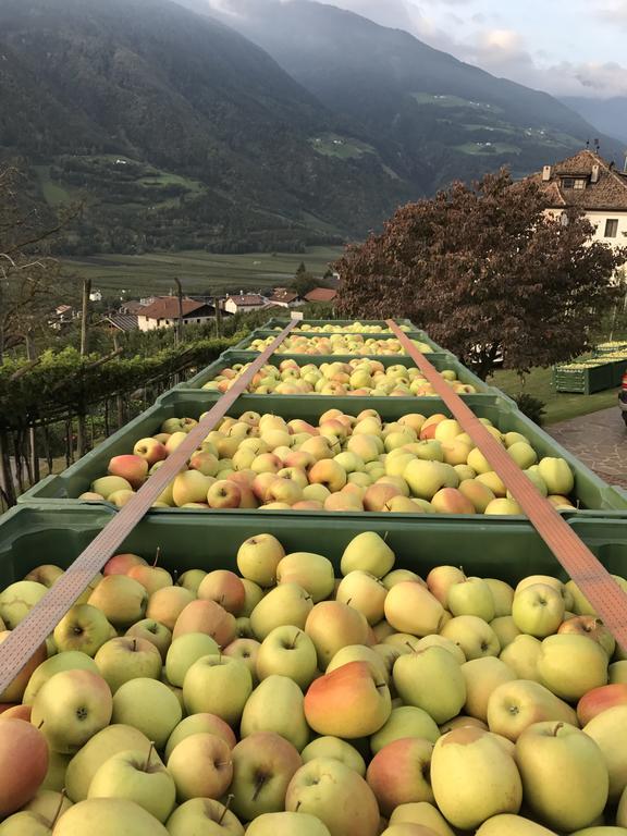 Klostergut Castelbello Dış mekan fotoğraf